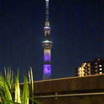 シエロイリオ - 美しいカラー・チェンジ〜♬