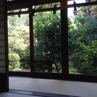せい月 - 中庭