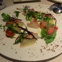 サンタ・マリア・ノヴェッラ・ティサネリーア 京都店 - マコダイのカルパッチョ