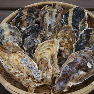 みるくがき豊久丸_0