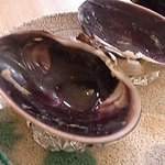 新橋 かま田 - 大あさり　浜焼き　抜け殻