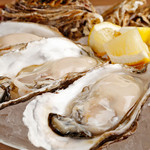 Oysterbar&Wine BELON - 