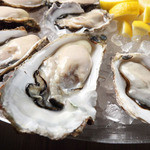 Oysterbar&Wine BELON - 