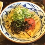 Marugame Seimen - 明太釜玉