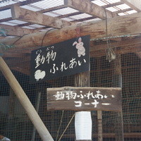 杉・五兵衛 - 
