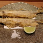 日本料理 晴山 - 網走産ししゃも天ぷら