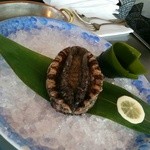 表参道うかい亭 - ④アワビ　昆布を載せて大量の塩で蒸し焼きにしてます。（二人で１個）