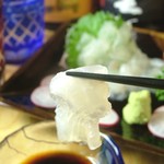 湘南朝どれ刺身×魚の串焼き たまりば - 新鮮だから刺身で食べれる。煮付けなんかにしたらもったいない