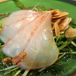 懐石カフェ 蛙吉 - 10年6月　鯛のカルパッチョ