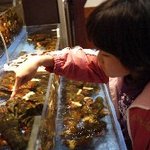 レッドロブスター - 