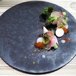 SUGALABO - 関あじ　小蕪