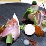 SUGALABO - 関あじ　小蕪