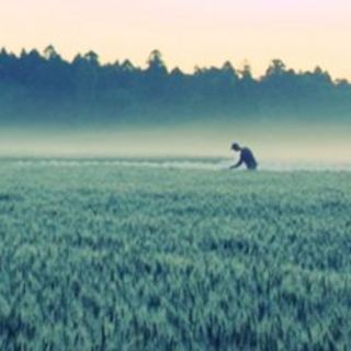 自社農園で毎朝収穫した採れたてオーガニック野菜がおいしいお店