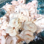 Gyo Gyo Iiccho Rai - 鮮度の良い鱈の白子は塩で炭焼き！甘味が倍増します！！