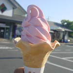Michinoeki Daiei Resutoin Daiba - スイカクリームは２５０円