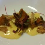 鹿赤ワイン煮ペーストを詰めたアニョロッティ