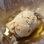 Restaurant Satoshi.F - 東濃の松茸と茄子のコンソメ（2015/9）