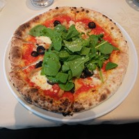 トラットリア・イタリア 品川店 - ツナとオリーブのトマトソース～ルッコラ添え～