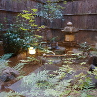 山玄茶 - 