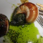 Le紅い豚 - 初・エスカルゴ・・美味しい～