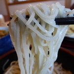 そばひろ - <'15/10/29>天せいろ（蕎麦大盛り）