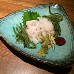 三天参 - 
