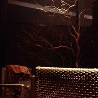 宇田川 紫扇 - 