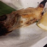 俺の魚を食ってみろ!! - のどくろ