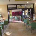 PALM CAFE - 