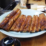 蒲焼（天然）・蒲焼（養殖）×4