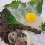 料亭 金鍋 - オコゼの造り