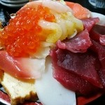 寿司富 - チラシ