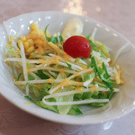カレー専門店cafe New Delhi - 2015年10月再訪：サラダ☆