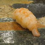 小判寿司 - ボタンエビ(羅臼産）