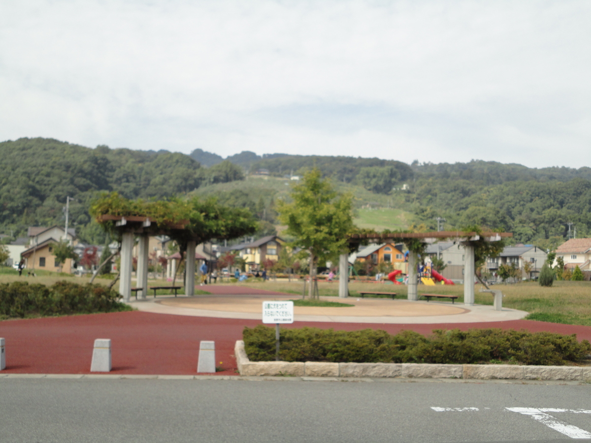 こむぎ name=