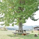 ソラノネ食堂 - 