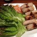 ベトナムちゃん - 