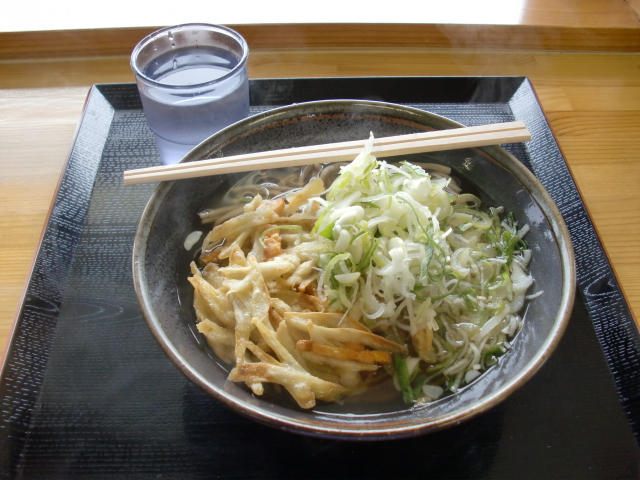 麺処どなん 宮崎 うどん 食べログ 麺処どなん 宮崎 うどん 食べログ