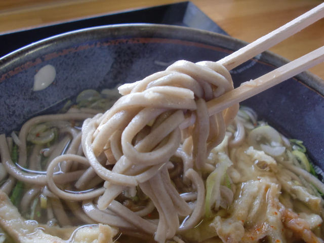 麺処どなん 宮崎 うどん 食べログ 麺処どなん 宮崎 うどん 食べログ