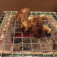 割烹 白鷹 - 