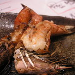 イカセンター新宿総本店 - えび