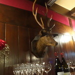 麤皮 - ☆お目目がキュートな鹿ちゃん☆