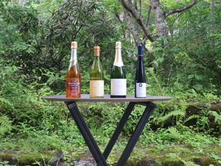 Hotel Buresuton Ko-to Za Raunji - (Aug 2015)