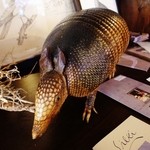 ボタニカルアイテムアンドカフェ シアン - アル・マジロウ課長