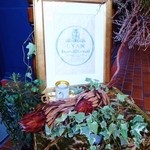 ボタニカルアイテムアンドカフェ シアン - 