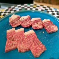 鴨川たかし - 