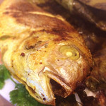 エパレット - がおー！