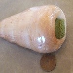 ユニオン ベーカリー - 抹茶クリームコルネ 200円(税別)