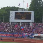 FELLOWS - 駒沢陸上競技場