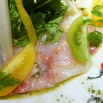 Turre Turre - 真鯛